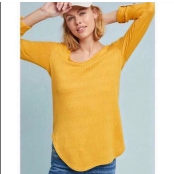 Anthropologie Akemi + Kin Sylvie Pointelle mustard sweater - Picture 6 of 6